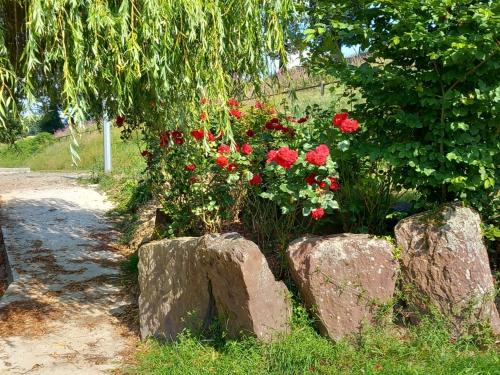 a garden with rocks and red flowers and a tree at A La Mémoire de Merlin " Gîte Le Miroir Aux Fées " in Saint-Malon-sur-Mel