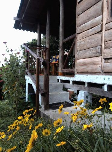 a group of yellow flowers in front of a building at MUNAY, Posada rural para el sosiego in Alcalá