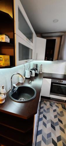 encimera de cocina con fregadero y microondas en Centrum Bridge Apartment, en Pärnu