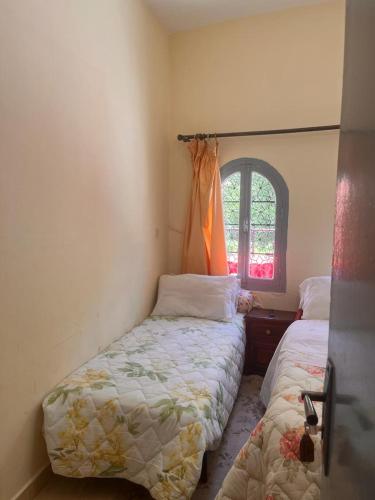 a bedroom with two beds and a window at Hôtel Restaurant ASGAOUR in Amlouggui