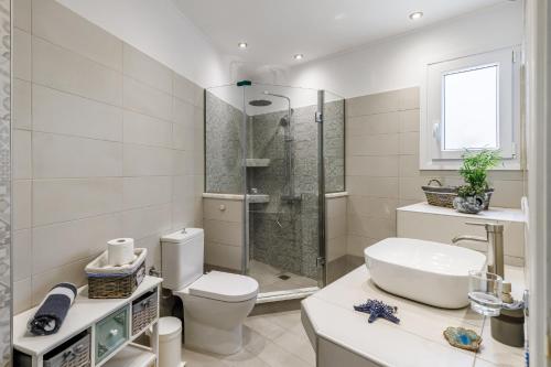 W łazience znajduje się prysznic, toaleta i umywalka. w obiekcie Karderina Cozy Cottage by the River w mieście Skopelos