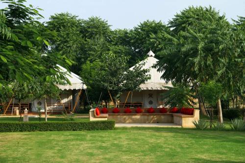 The Greenhouse Resort – Photos 4
