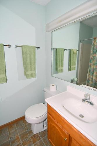a bathroom with a toilet and a sink and a mirror at Dogwood Knoll - Wifi, Pool Access, Deck, Fireplace, Deck, Family Friendly, Hiking, Games, Screen Porch, King Bed in Berkeley Springs