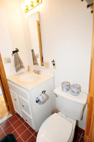 a bathroom with a toilet and a sink and a mirror at River Valley Cabin - Riverfront Cabin in Morton Grove