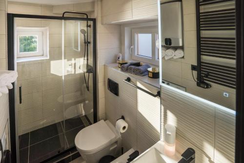 a bathroom with a toilet and a glass shower at Studio apartman Lenox in Rijeka