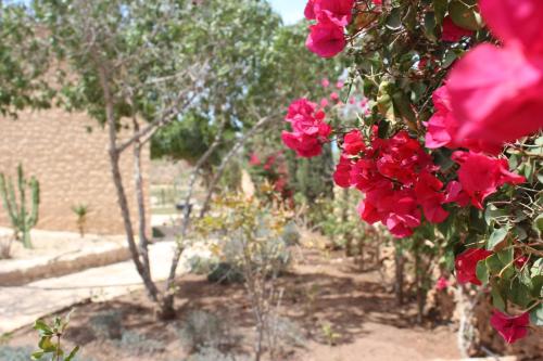 Un jardín fuera de VILLA ZAHR'ALI