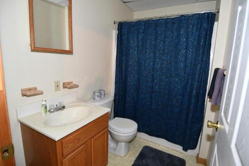 baño con aseo y cortina de ducha azul en Healing House - Healing Escape, en Berkeley Springs