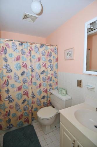 a bathroom with a toilet and a shower curtain at Home at Last - Gather here! in Berkeley Springs
