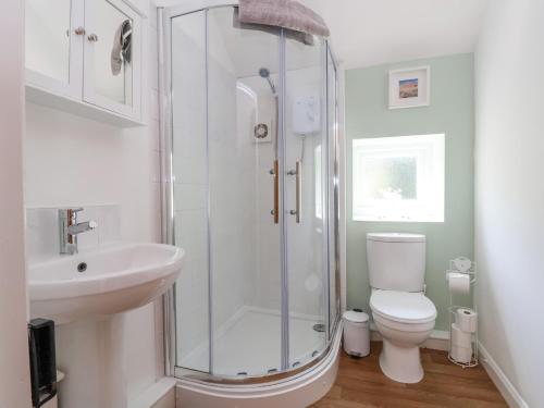 a bathroom with a shower and a toilet and a sink at Carreg Cottage in Wrexham