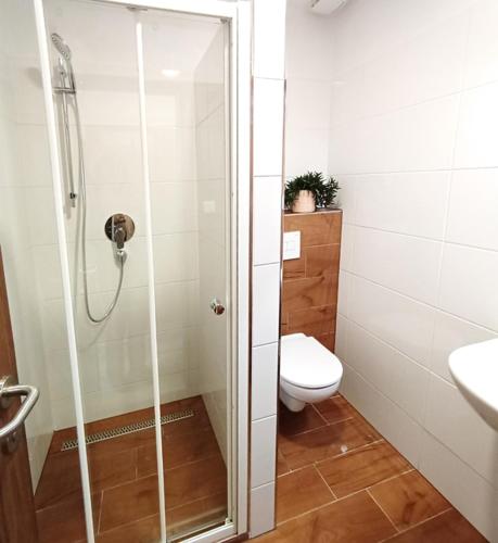 a bathroom with a shower and a toilet and a sink at Penzion U Provazníka in Zdíkov