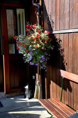 a hanging basket of flowers on the side of a building at Ferienwohnung Nachtigall in Burg