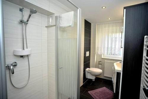 uma casa de banho com um chuveiro e um WC. em Ferienwohnung Nachtigall em Burg