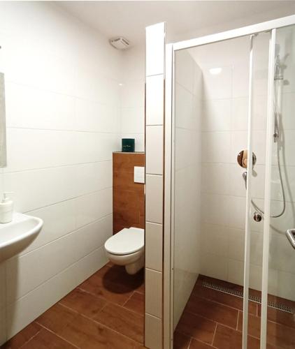 a bathroom with a toilet and a sink at Penzion U Provazníka in Zdíkov