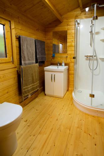 a bathroom with a shower and a toilet and a sink at Amazing Views Log Cabin Broughton Mills South Lakes in lower hawthwaite