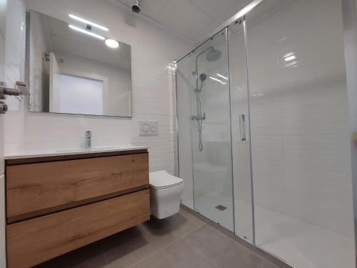 a bathroom with a shower and a toilet and a sink at Villa María in Alicante