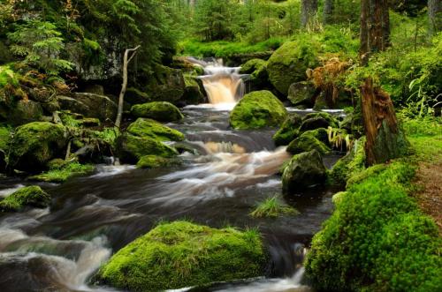 a stream of water with rocks in a forest at Penzion U Provazníka in Zdíkov