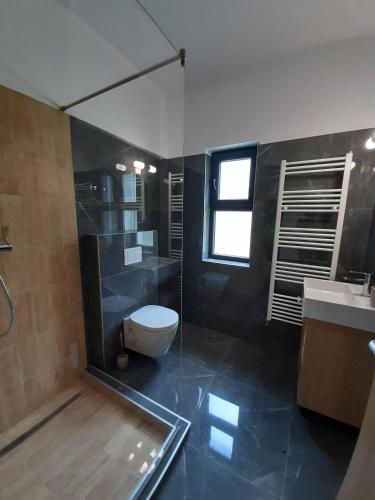 a bathroom with a toilet and a sink at Casa Phoenix in Băişoara