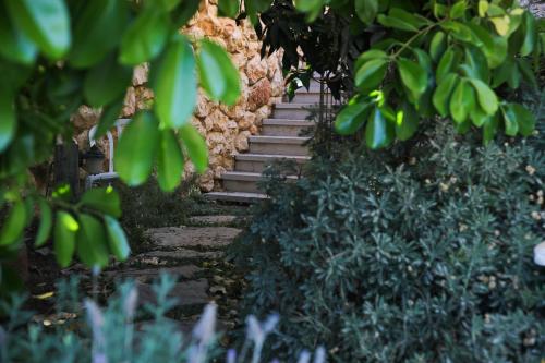 Fotografie z fotogalerie ubytování קאמי מלון בוטיק v destinaci Safed