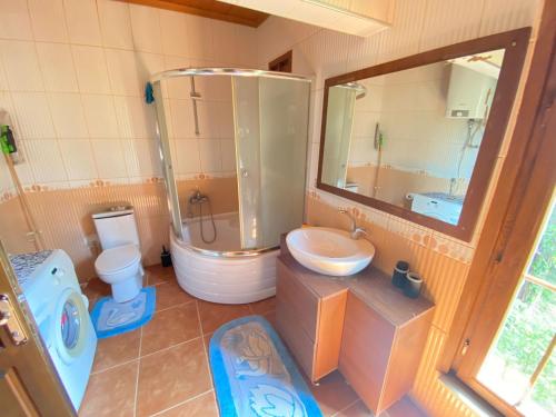 ein Bad mit einer Dusche, einem Waschbecken und einem WC in der Unterkunft MOUNTAIN HOUSE in Trabzon