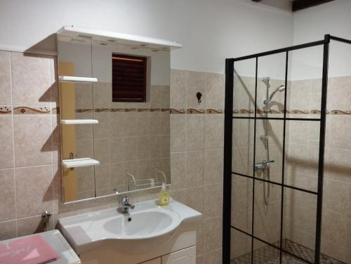 a bathroom with a sink and a shower at Appartement de 2 chambres avec vue sur la mer terrasse amenagee et wifi a Bouillante a 4 km de la plage in Bouillante