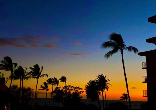 キヘイにあるCampervan/Maui hosted by Go Camp Mauiの海の前にヤシの木が植えられた夕日