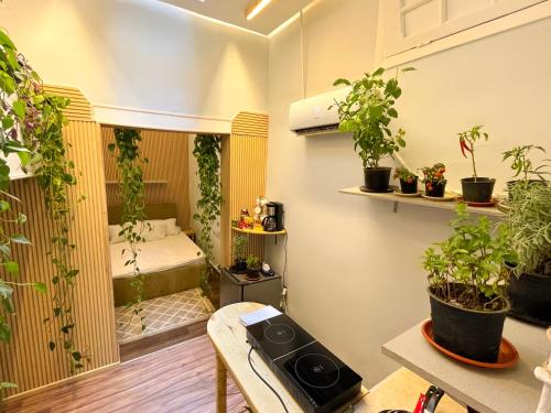 um quarto com vasos de plantas nas paredes em The Greenhouse no Cairo