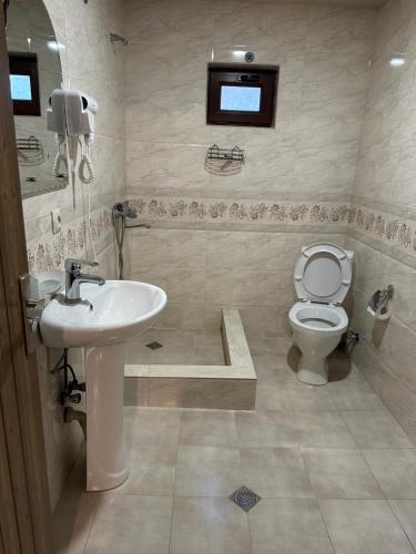 a bathroom with a sink and a toilet at Apartment Nikolo in Stepantsminda