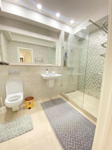 ein Bad mit einer Dusche, einem WC und einem Waschbecken in der Unterkunft Soimari street New Apartment in Chisinau in Chişinău