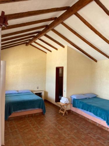 - une chambre avec 2 lits dans l'établissement Hotel Coconuts, à Tecpan de Galeana