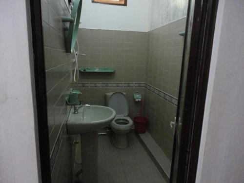 a small bathroom with a toilet and a sink at White Elephant Hotel in Maskeliya
