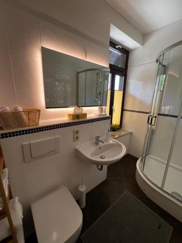 ein Bad mit einem Waschbecken, einem WC und einer Dusche in der Unterkunft Villa Limburg in Leipzig
