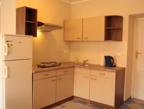 a kitchen with a white refrigerator and a sink at Góry Sowie Apartament z osobnym wejściem in Pieszyce