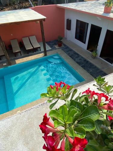 a swimming pool with red flowers in front of a house at Casa Suites Minizoo in Puerto Escondido