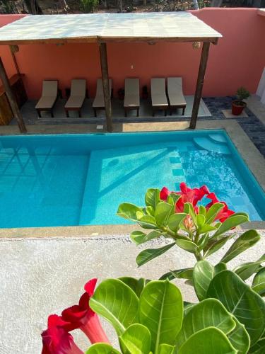 two pictures of a swimming pool with a table and a plant at Casa Suites Minizoo in Puerto Escondido