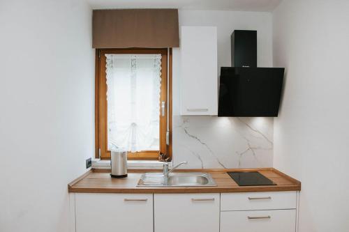 Kuchyň nebo kuchyňský kout v ubytování Apartmaji URŠIČ
