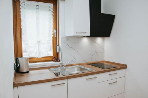 a kitchen with a sink and a window at Apartmaji URŠIČ in Kobarid