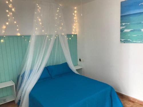 Petit Room, Habitación