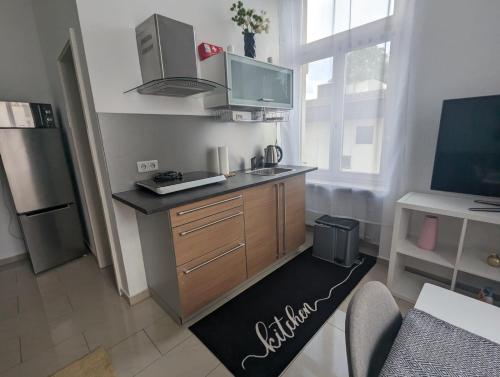 a kitchen with a counter with a sink and a refrigerator at Schönes Apartment am Rhein - Zentral in Koblenz