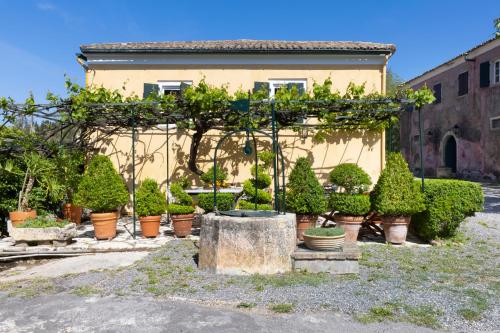 a group of potted plants in front of a building at Pelecas Country Club in Pelekas