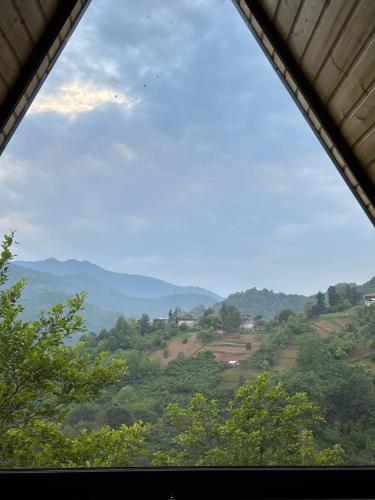 Galería fotográfica de One day in the village/ერთი დღე სოფელში en Batumi