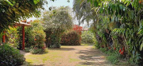 a garden with plants and trees and a pathway at Jardin entre Montañas in Bijagua