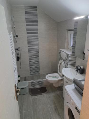 a bathroom with a toilet and a sink and a shower at Apartman MIVA in Bele Vode
