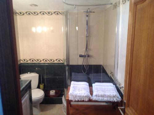 a bathroom with a shower with a bed and a toilet at Chambre d hôte Entre Cigale et Pagnol in Peypin