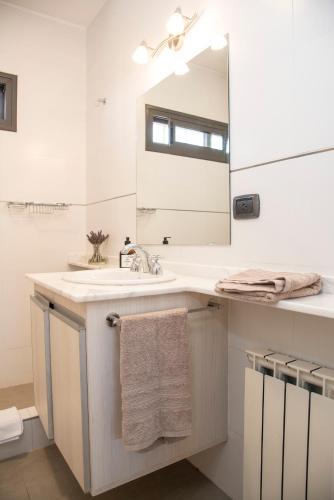 a bathroom with a sink and a mirror at Finca Mosso Lunlunta in Lunlunta