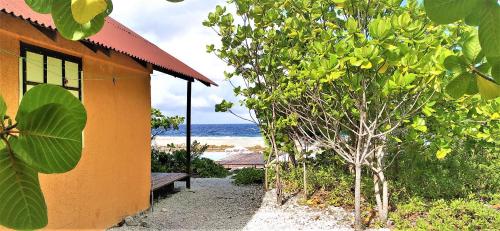 ein orangefarbenes Gebäude mit einem Baum am Meer in der Unterkunft FAKARAVA - Teariki Lodge 2 in Fakarava