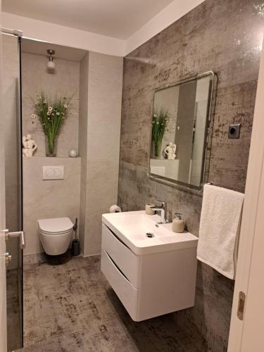 uma casa de banho com um lavatório, um WC e um espelho. em Apartman Seka em Njivice