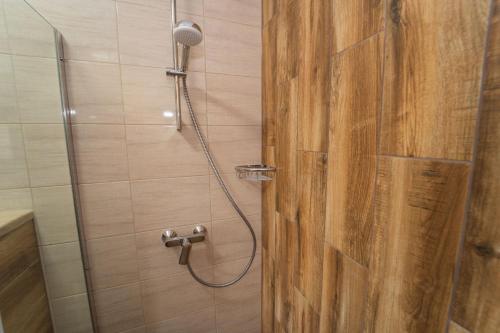 a bathroom with a shower with a wooden door at Wilki2 in Wetlina