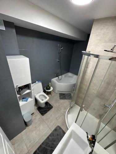 uma casa de banho com um chuveiro, um WC e um lavatório. em Nix Apartment - Calea Moldovei em Bistrita