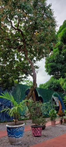 Gallery image of Aldeia Hostel II in Manaus