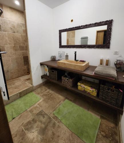 une salle de bain avec un lavabo et un miroir dans l'établissement Les naturelles, à Saint-Aubin-de-Locquenay